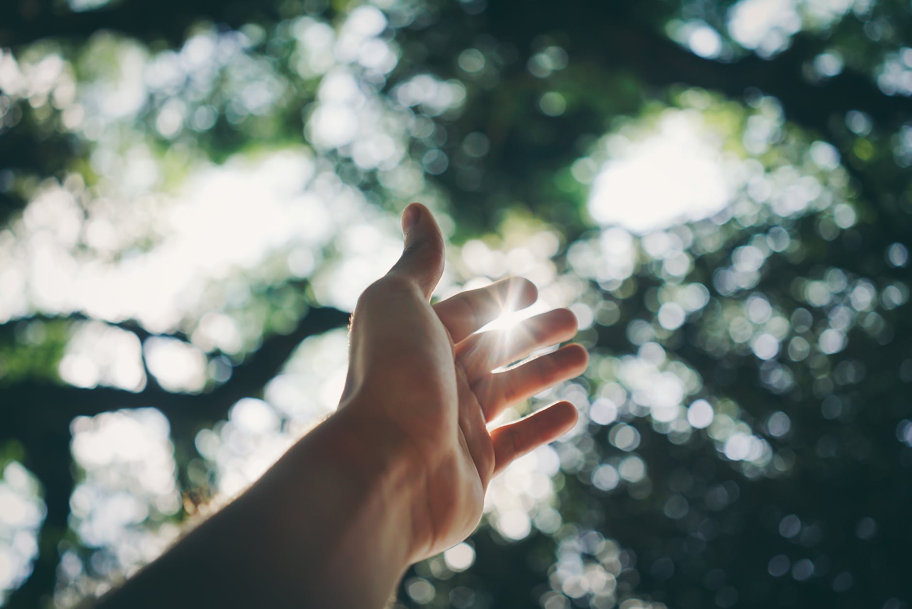 selective focus photography of hand